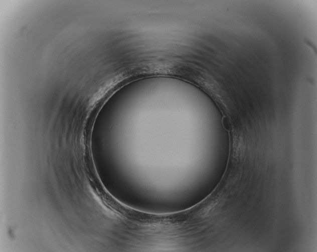 X0000103240674200809041047