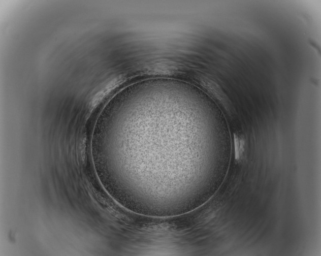 X0000103240675200809041047