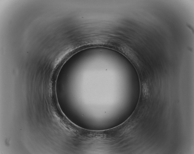 X0000103240676200809041047