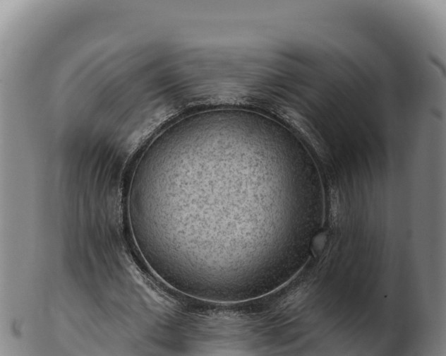 X0000103240677200809041047