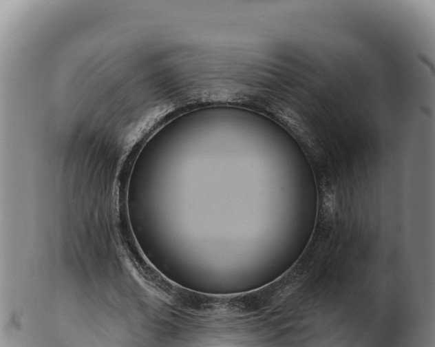 X0000103240678200809041047