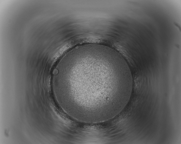 X0000103240679200809041047