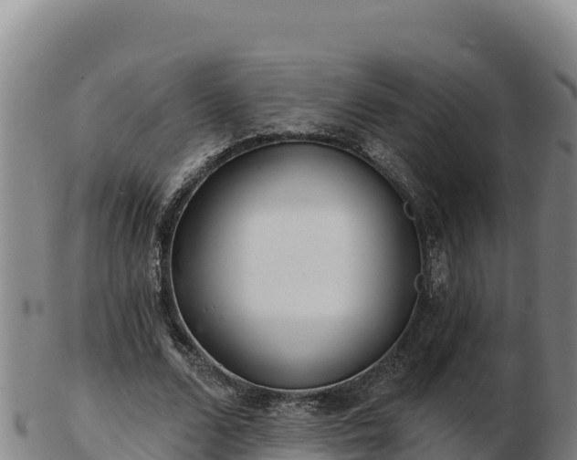 X0000103240680200809041047