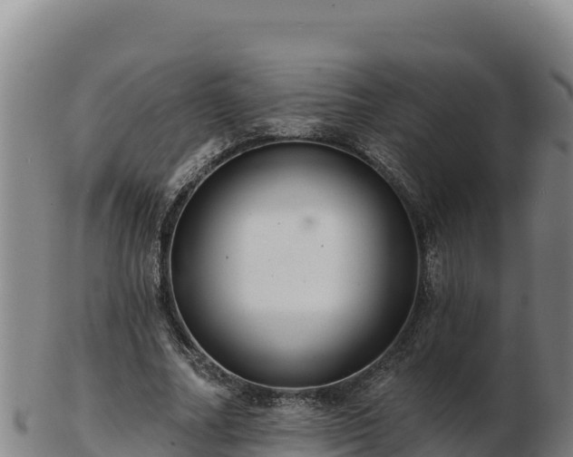 X0000103240682200809041047