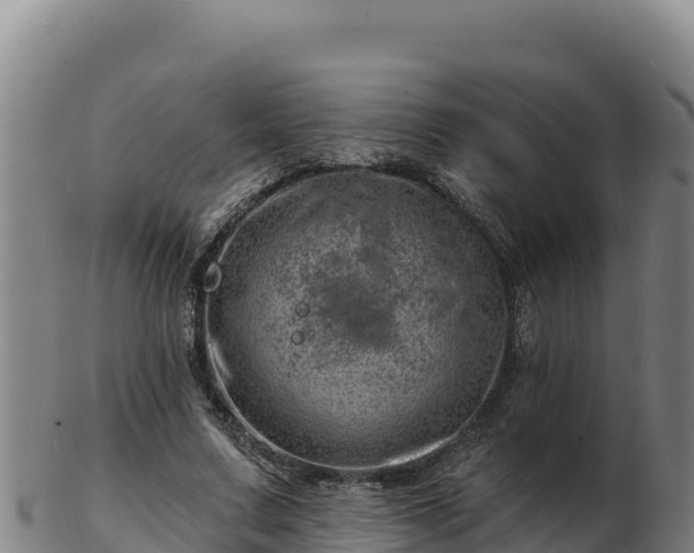 X0000103240683200809041047