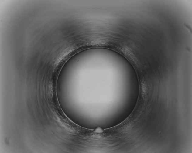 X0000103240684200809041047