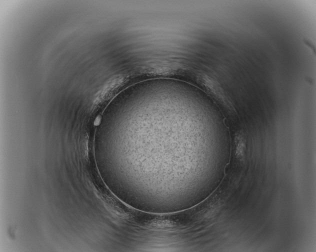 X0000103240685200809041047