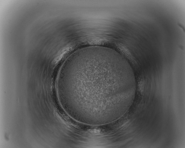 X0000103240687200809041047