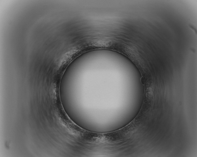 X0000103240688200809041047