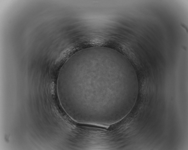 X0000103240689200809041047