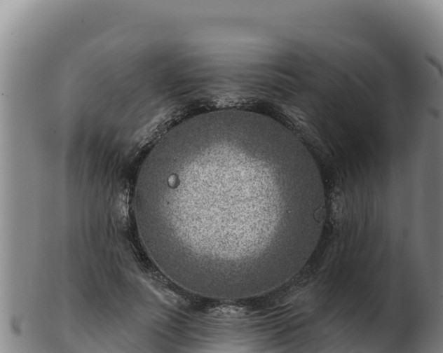 X0000103240691200809041047