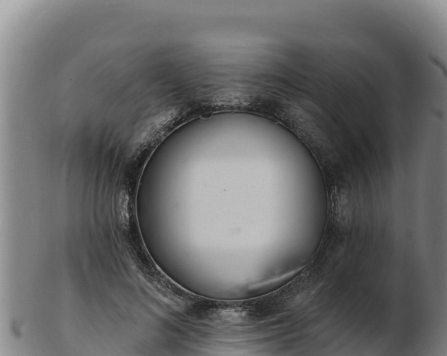 X0000103240692200809041047