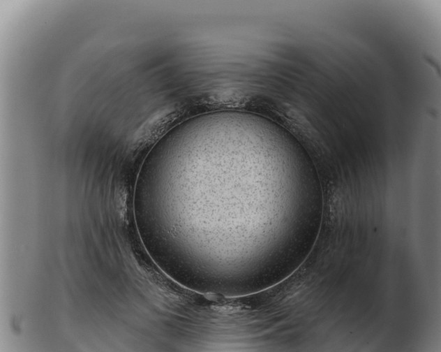 X0000103240693200809041047