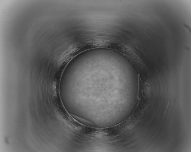 X0000103240696200809041047