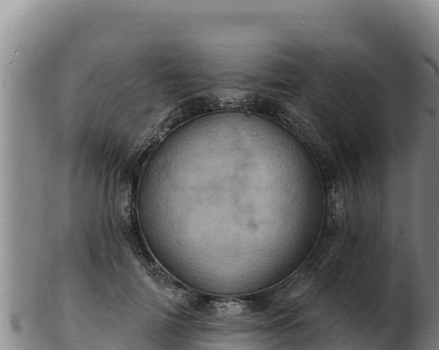 X0000103240698200809041047