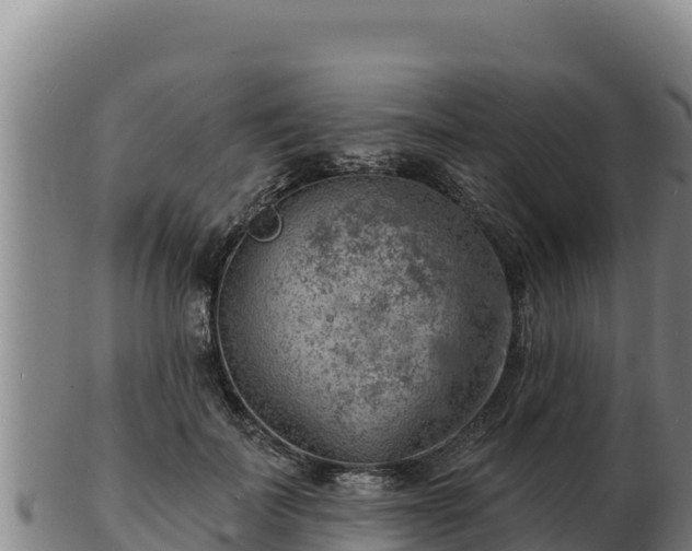 X0000103240699200809041047