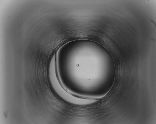 X0000103240700200809041047