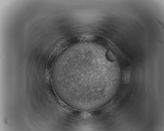 X0000103240701200809041047