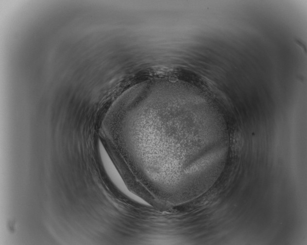 X0000103240703200809041047