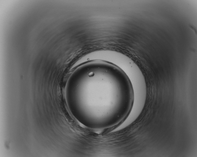 X0000103240704200809041047