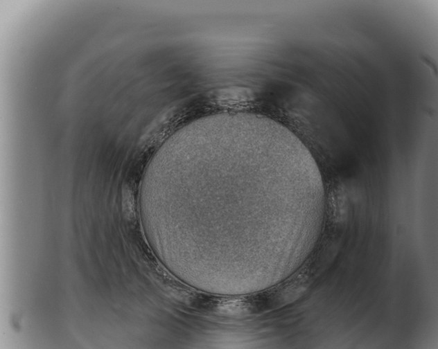 X0000103240705200809041047