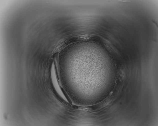 X0000103240707200809041047