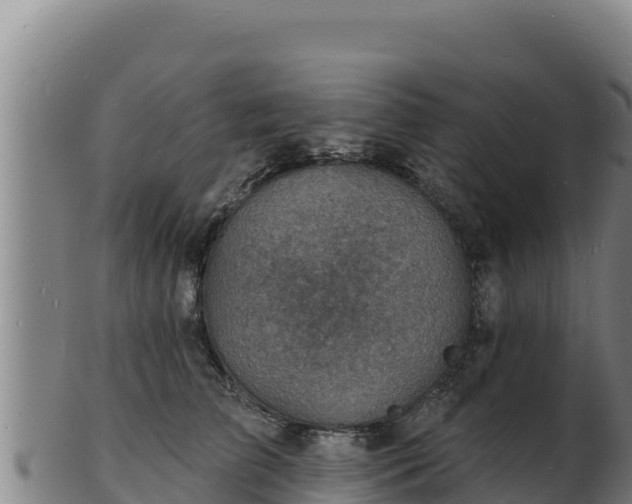 X0000103240709200809041047