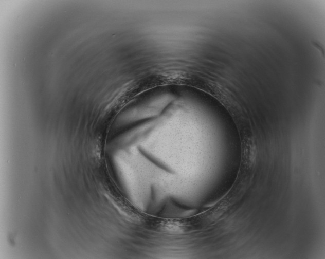 X0000103240710200809041047