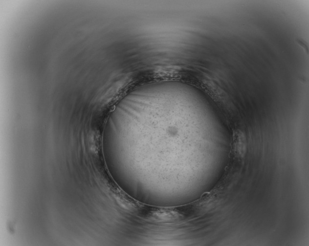 X0000103240712200809041047