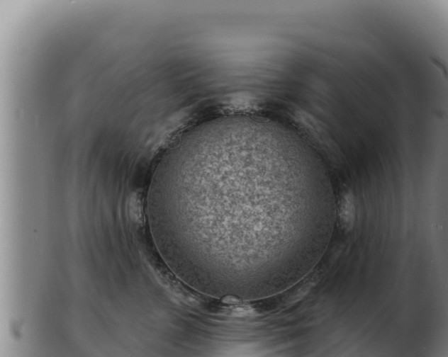 X0000103240715200809041047