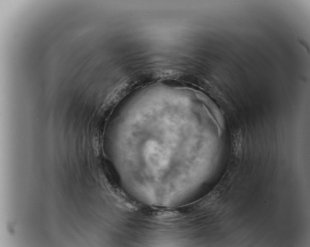 X0000103240716200809041047