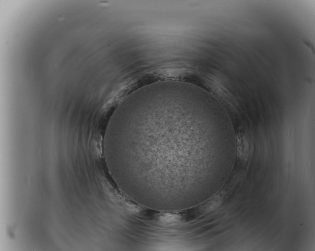 X0000103240718200809041047