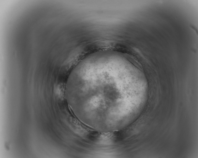 X0000103240720200809041047