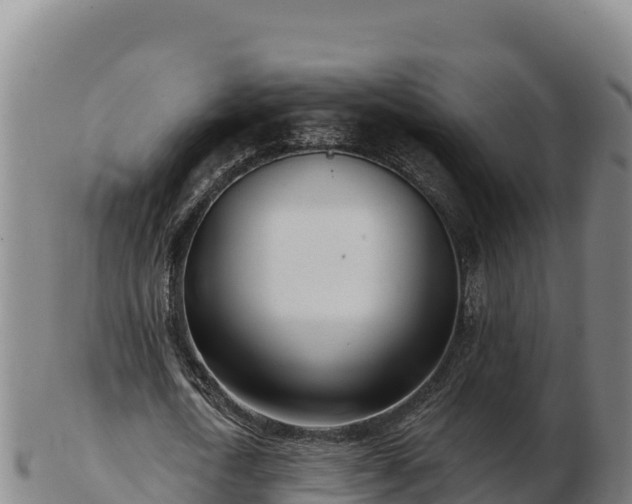 X0000103240722200809041046