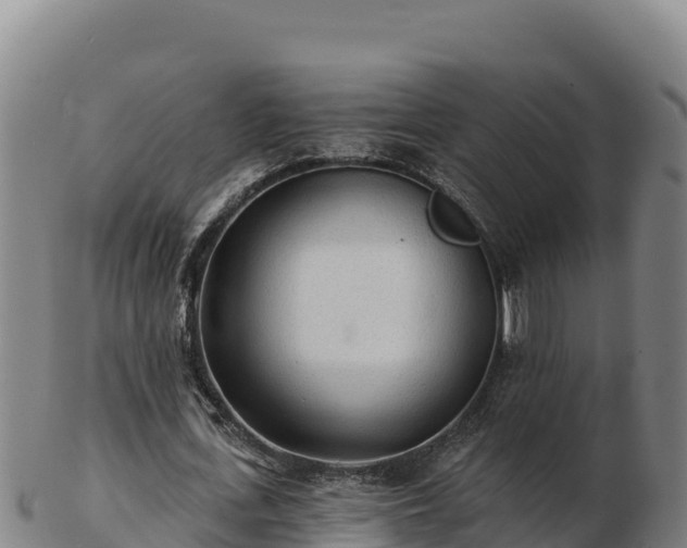 X0000103240723200809041046