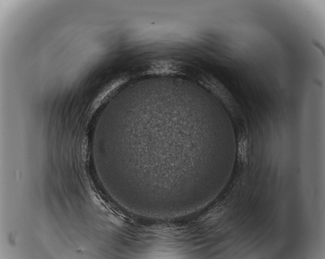 X0000103240724200809041046