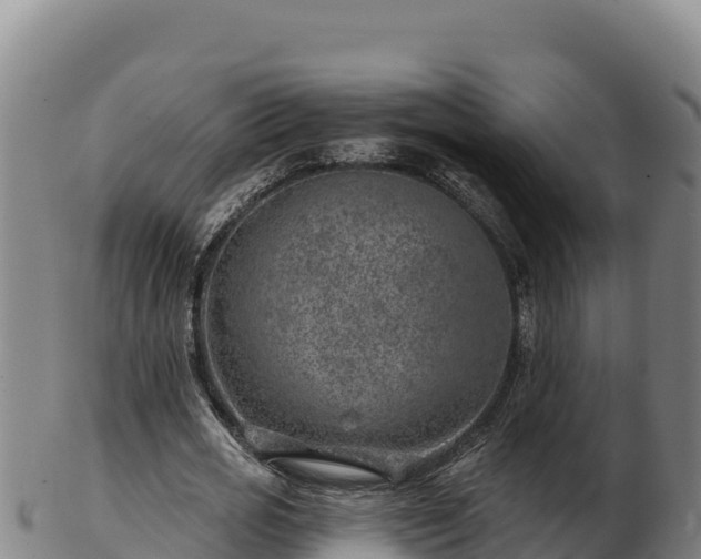 X0000103240725200809041046