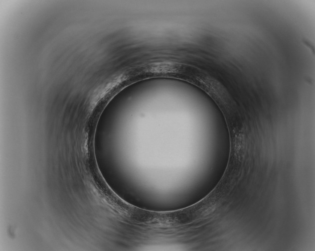 X0000103240727200809041046