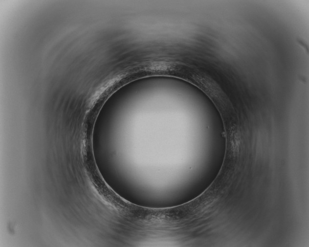 X0000103240728200809041046