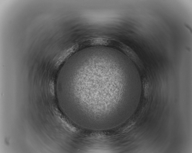 X0000103240729200809041046