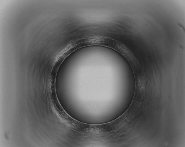 X0000103240730200809041046