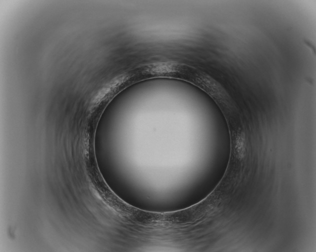 X0000103240732200809041046