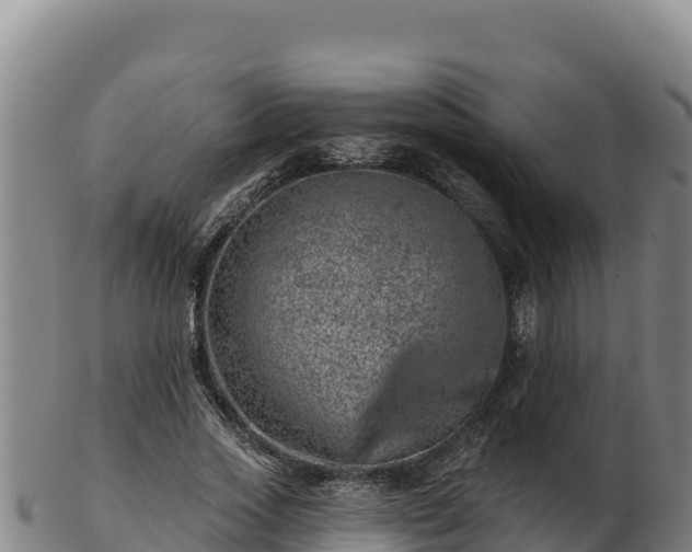 X0000103240733200809041046