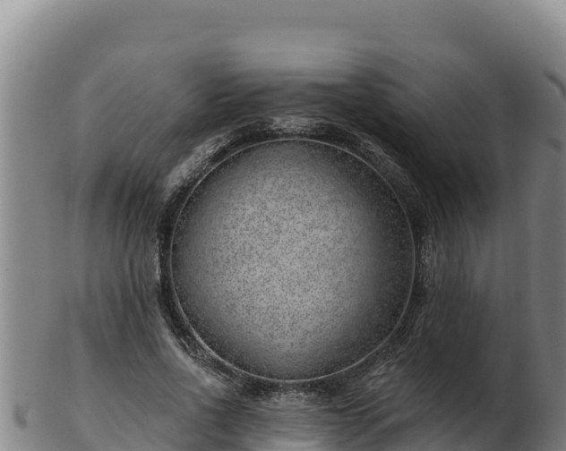 X0000103240734200809041046