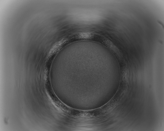 X0000103240736200809041046