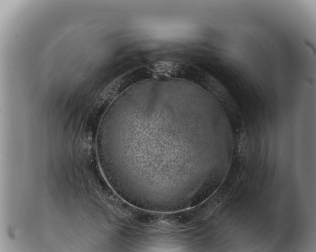 X0000103240737200809041046