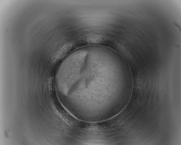 X0000103240738200809041046