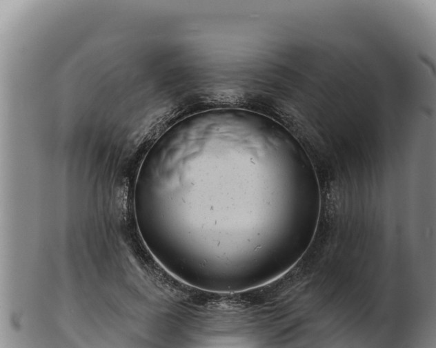 X0000103240739200809041046