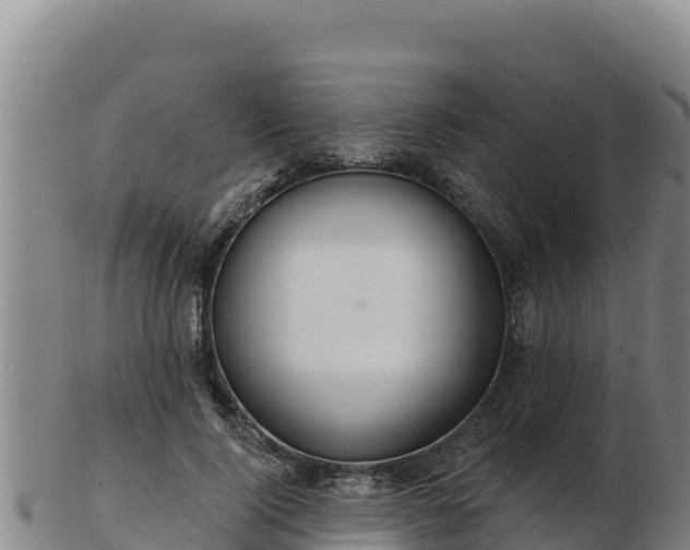 X0000103240740200809041046