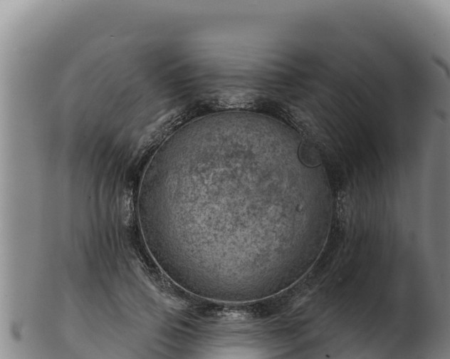 X0000103240741200809041046